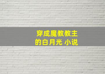 穿成魔教教主的白月光 小说